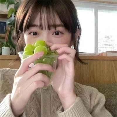 斑马头